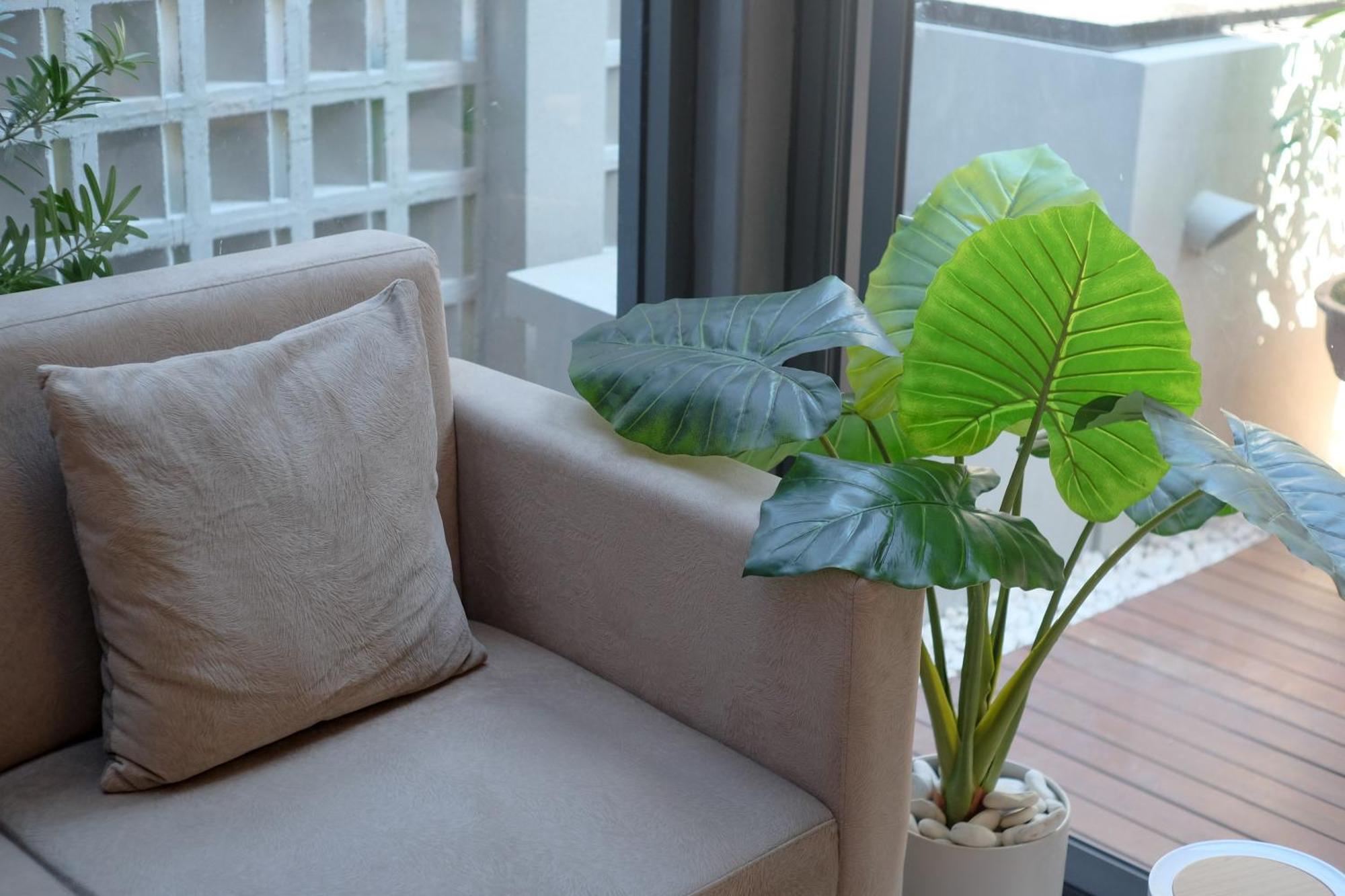 Pakualaman Sans Hotel Rg Living Jogja By Reddoorz מראה חיצוני תמונה